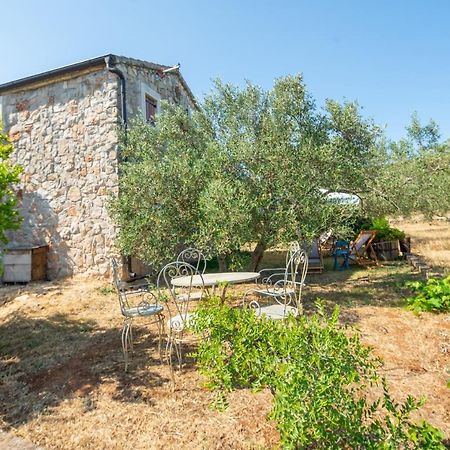 Villa Flaveico Pašman المظهر الخارجي الصورة