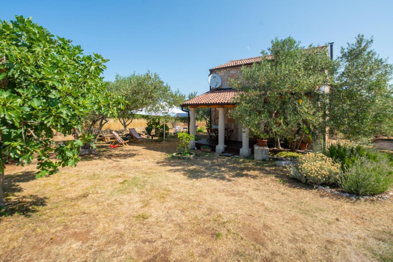 Villa Flaveico Pašman المظهر الخارجي الصورة